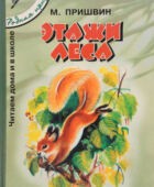 Этажи леса