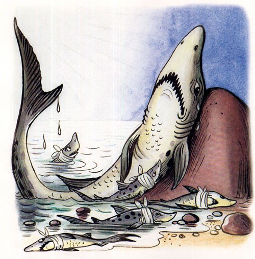 Айболит - акулы