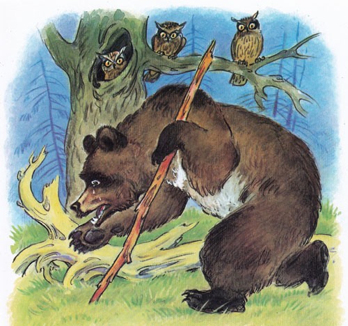 Медведиха и совы