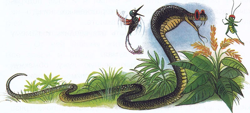 Змея и кузнечик