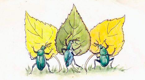 Жуки с листочками